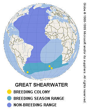 Great Shearwater distribution map