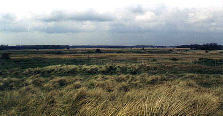 Looking west across the Kessingland Levels
