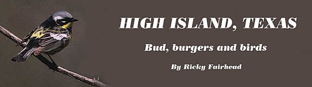 High Island, Texas - by Ricky Fairhead