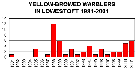 Yellow-browed Warbler yearly totals