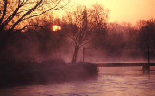 Misty dawn, River Itchen