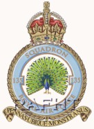 135 Squadron.