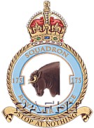 175 Squadron.