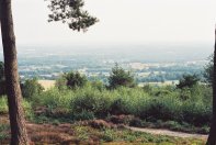 Surrey countryside from Leith Hill