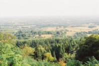 Surrey countryside from Leith Hill
